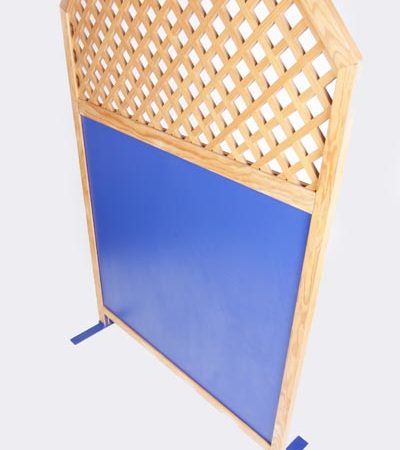 Blue with Trellis